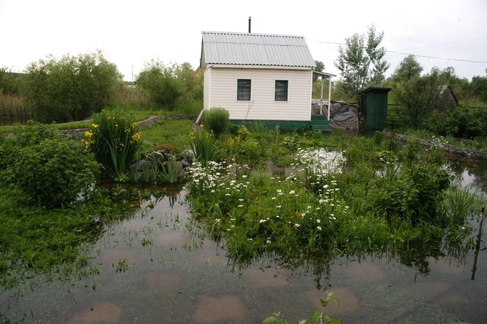 Так выглядели участки в садоводстве «Геофизик» в июле 2010 года.