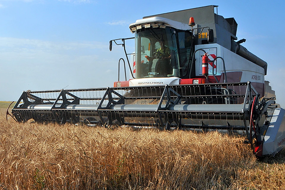 Недавно турецкие власти заявили о введении заградительных пошлин на российскую сельхозпродукцию. Речь о пшенице