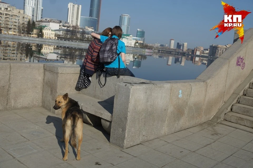 По мнению жителей города, принявших участие в исследовании, самая дружелюбная атмосфера царит в центре, на ВИЗе, в Пионерском поселке, в Академическом районе и почему-то в "опасном" Эльмаше.