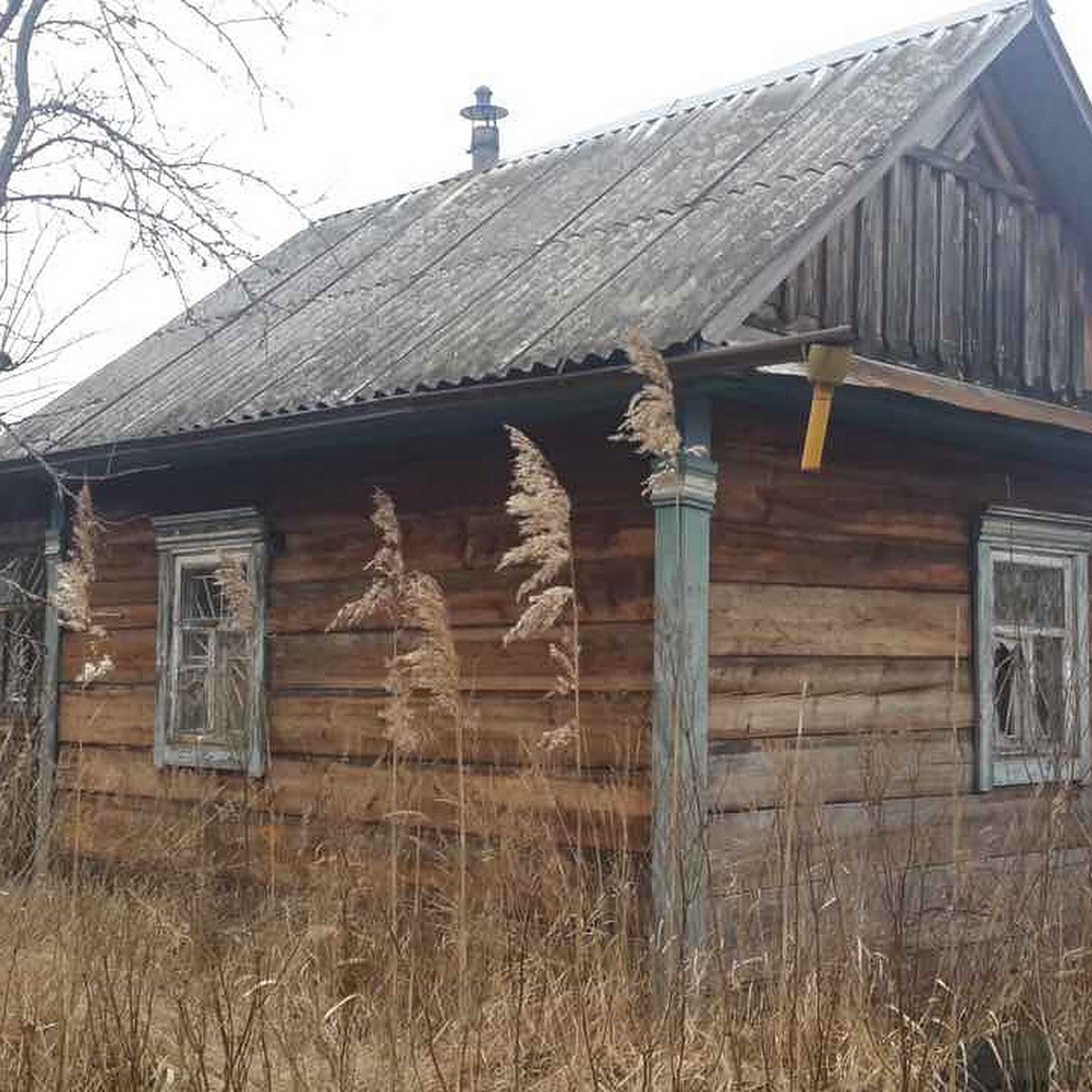 Дом пенсионерки разобрали по бревнам и украли, соседи ничего не заметили -  KP.RU