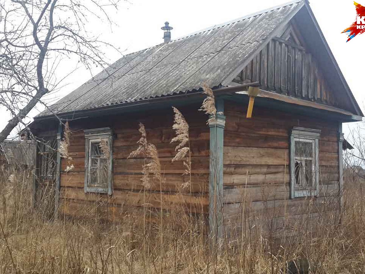 Дом пенсионерки разобрали по бревнам и украли, соседи ничего не заметили -  KP.RU