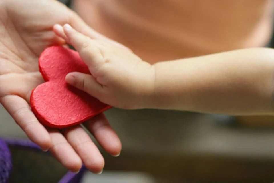 Фото: из архива "КП".