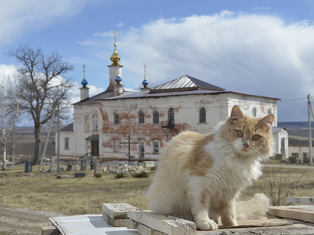 Белев – город монастырей, пастилы и кружева - KP.RU