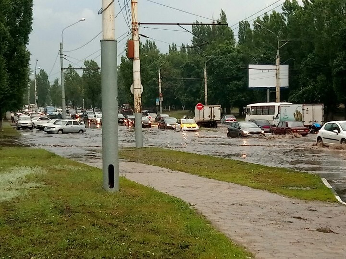 Поваленные деревья и затопленные дороги: как воронежцы пережили непогоду -  KP.RU