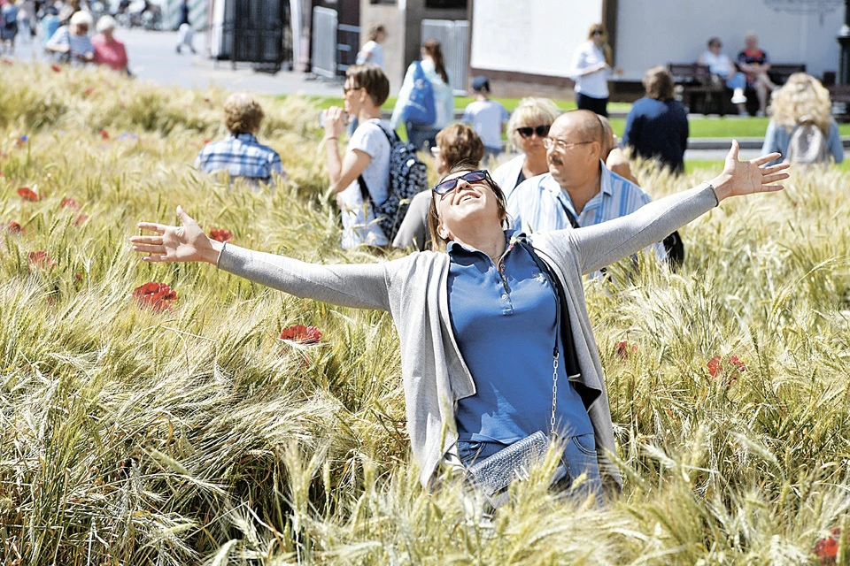 Пшеничное поле с маками на площади Революции высадили специально к фестивалю «Цветочный джем».