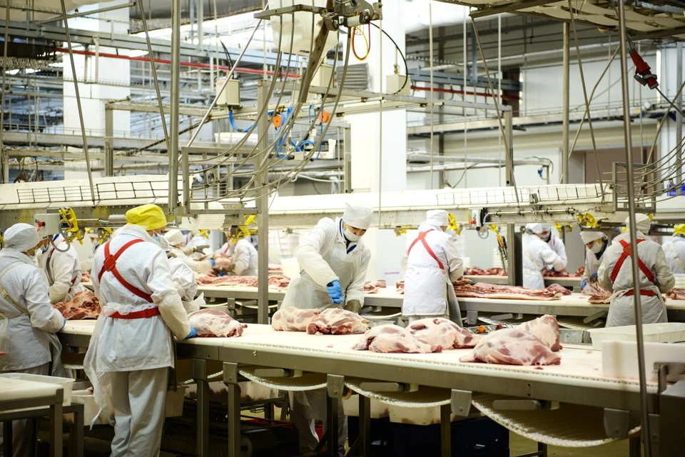 Вакансии в мираторге домодедово. Вакансии в мираторге домодедово. Мираторг курск черницыно. Мираторг вахта. Истринская сыроварня олега сироты.