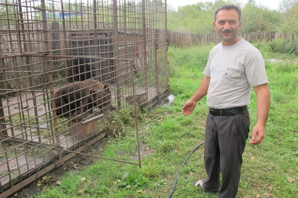 Хозяин кафе в Шелехове Габил Гусейнов спас посетителю жизнь, когда на того напали трое медведей