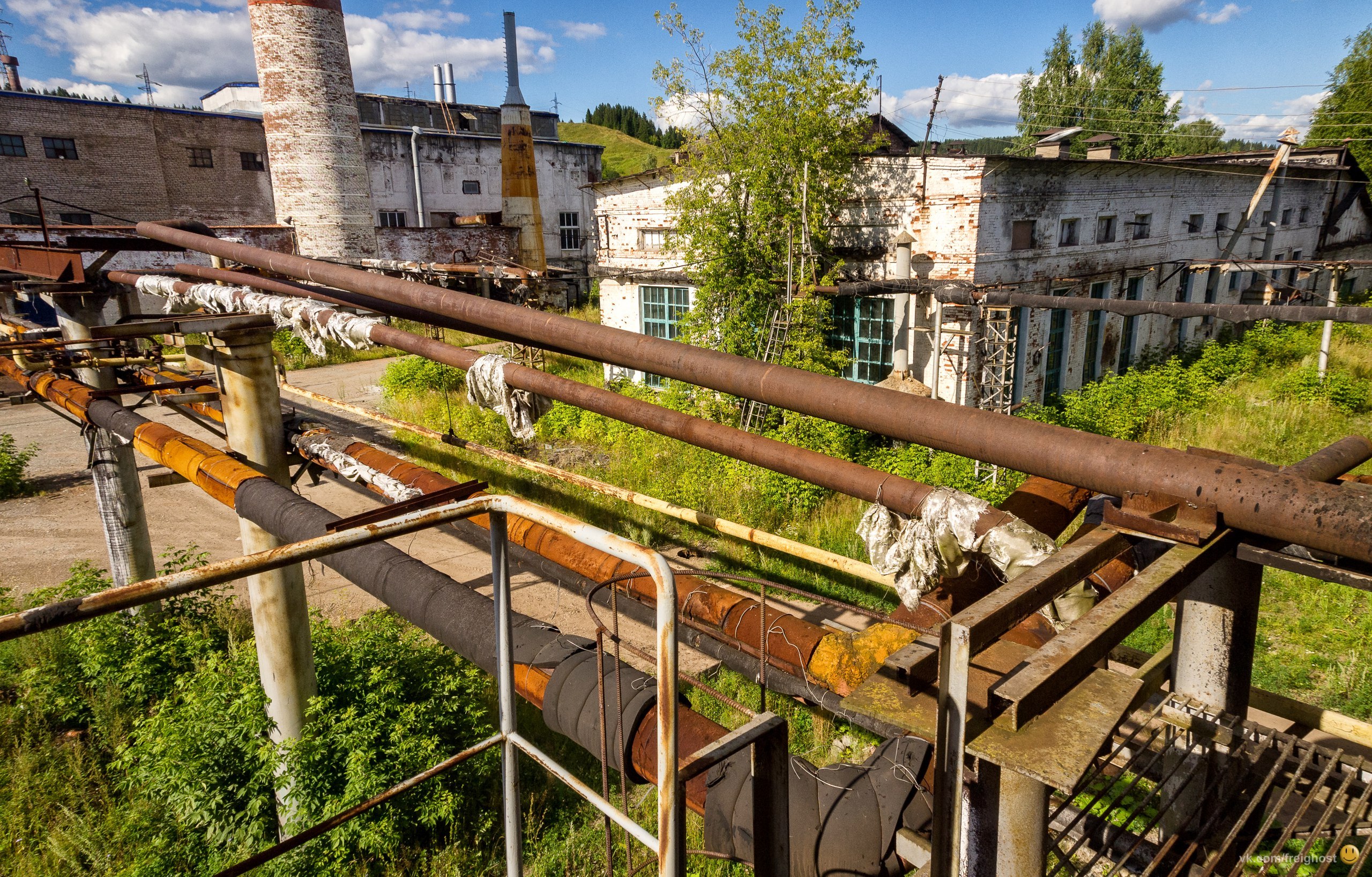 Фото: Андрей Колчин