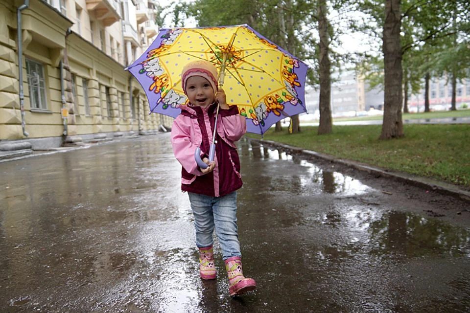 Солнечный дождливый день