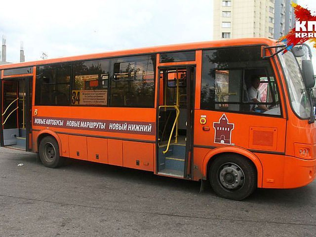 Еще три новых автобусных маршрута появятся в Нижнем Новгороде - KP.RU