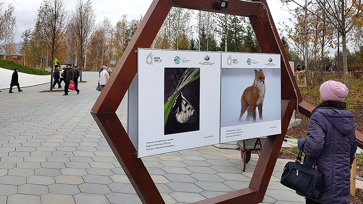 Как добраться до парка «Зарядье» на метро и на машине - KP.RU