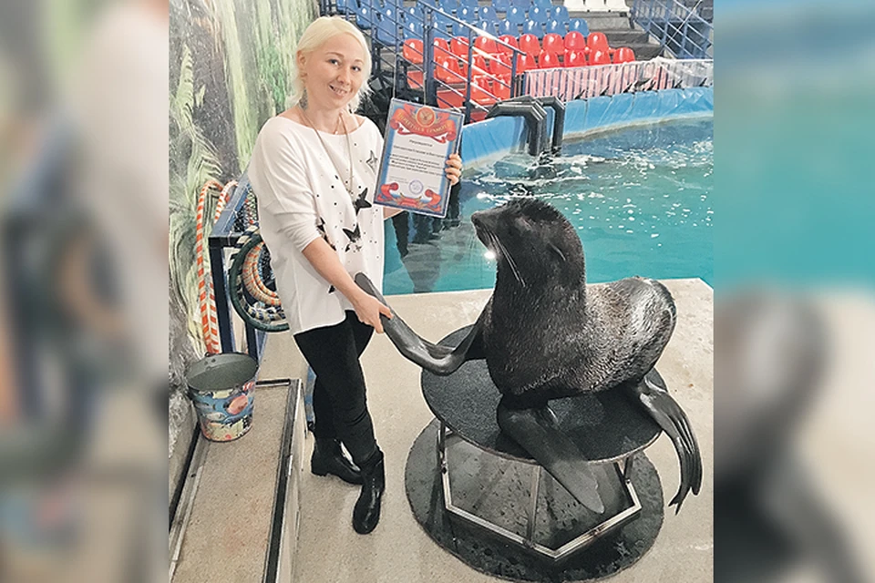 Морской котик Барик. Фото: пресс-служба дельфинария