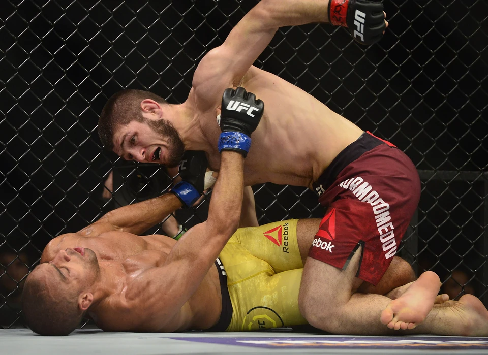 Хабиб Нурмагомедов одержал победу над бразильцем Барбозой в UFC 219.