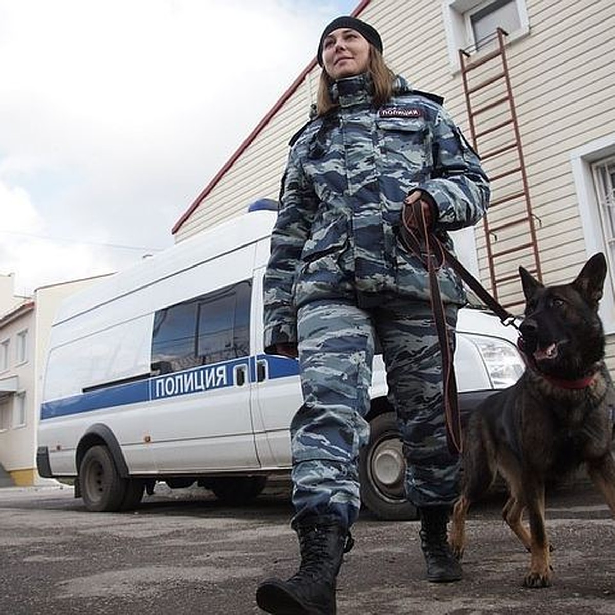 Криминальные каникулы: в Самаре в праздничные дни убили помощницу судьи и  подожгли машину адвоката - KP.RU