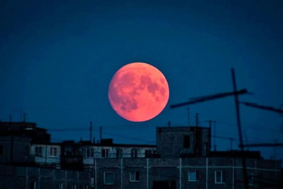 Тень Земли закроет Луну и окрасит ее в красный цвет. Фото: Валентина Кустова