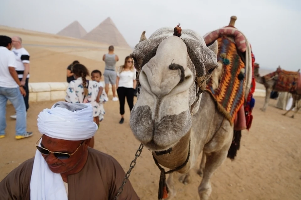 В Египет едут за морем, солнцем и посмотреть на творения фараонов.