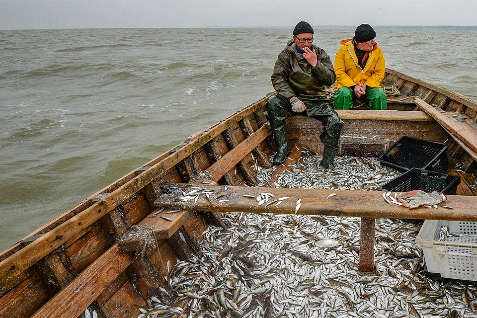 Российские рыбаки написали обращение президенту.