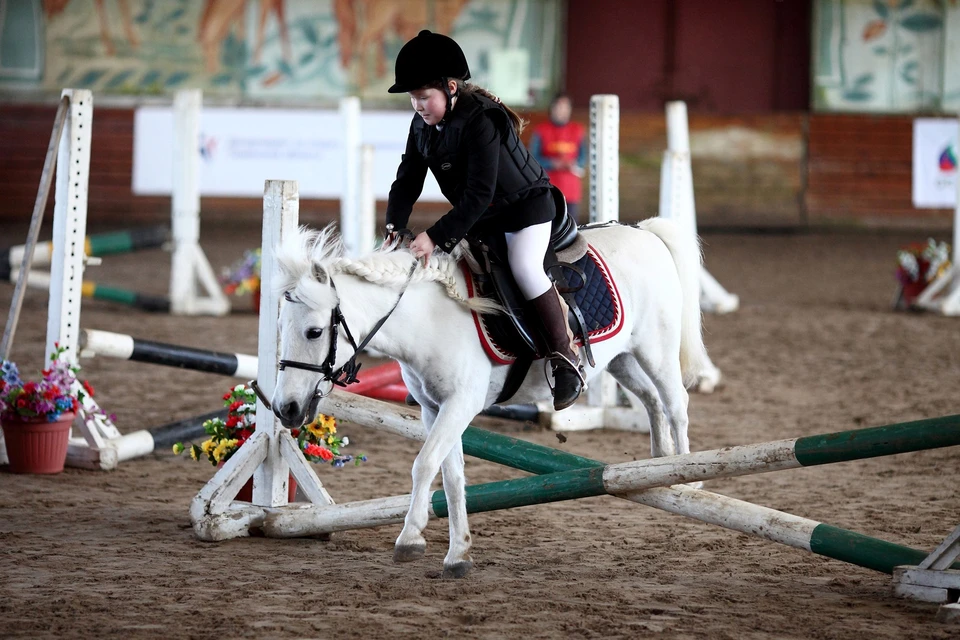 Где в Тюмени научиться кататься на лошадях. Фото osdusshor.ru