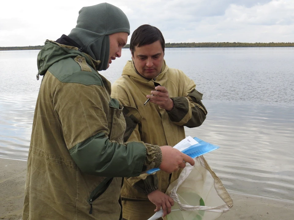 Ученые предлагают спасти стареющее озеро Ханто в Ноябрьске с помощью шлюзов Фото: arctic89.ru