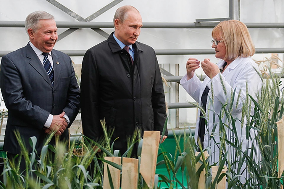 Путину показали некоторые из достижений института. Фото: Михаил Метцель/ТАСС
