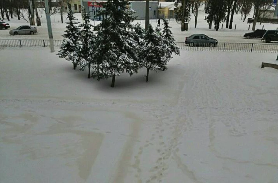 Цвет снега был от оттенка ванили до цвета ржавчины. Фото: Даниил Урсакий
