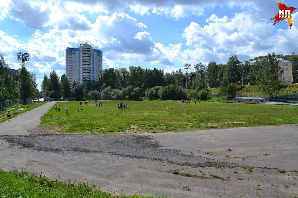 В мэрии города пообещали, что не тронут березовую рощу на запасном стадионе