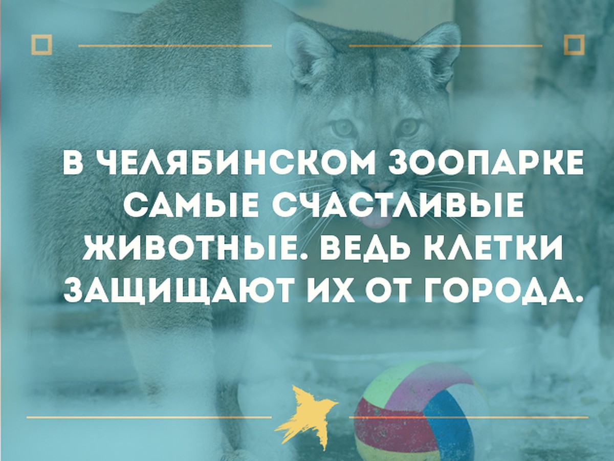 15 самых веселых шуток про самый суровый город России - KP.RU