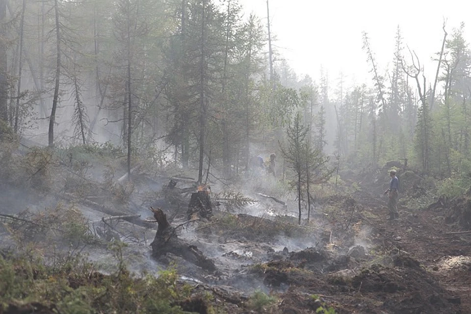 В Бурятии задержан виновник лесного пожара, на котором погибли два сотрудника лесхоза