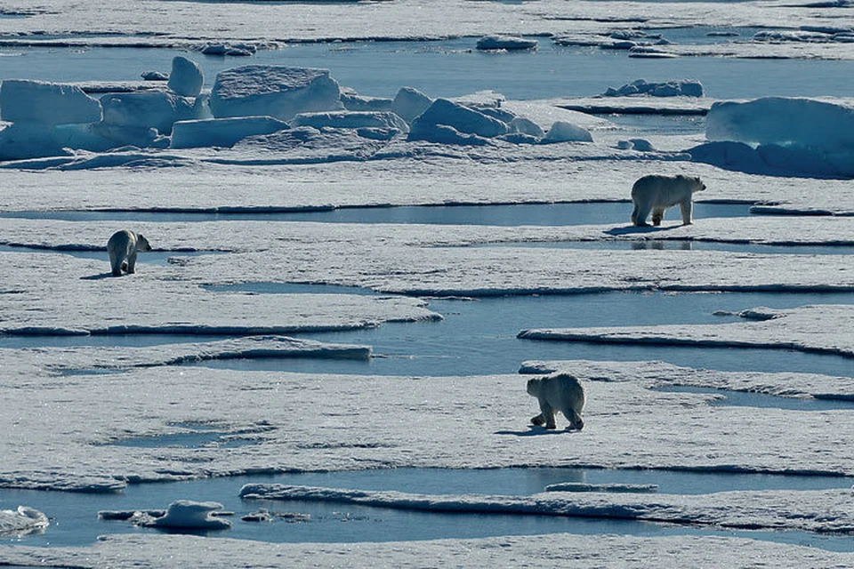 Потепление в арктической зоне в целом благоприятно для морской хозяйственной деятельности, включая судоходство и добычу углеводородов на шельфе. Более доступными для круглогодичного плавания станут высокоширотные трассы
