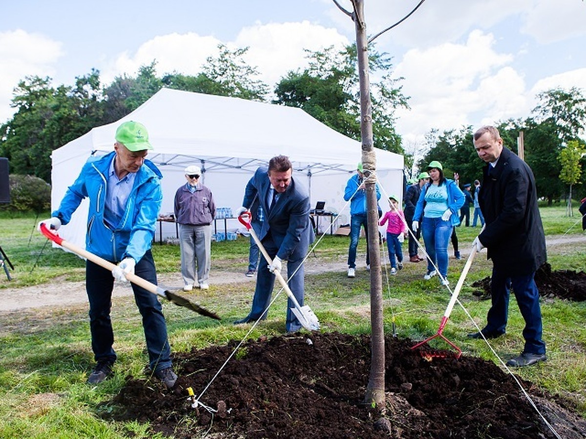 Green Way”: NESTE идет по Зеленому пути - KP.RU