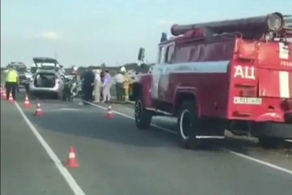 Фото: скриншот видео