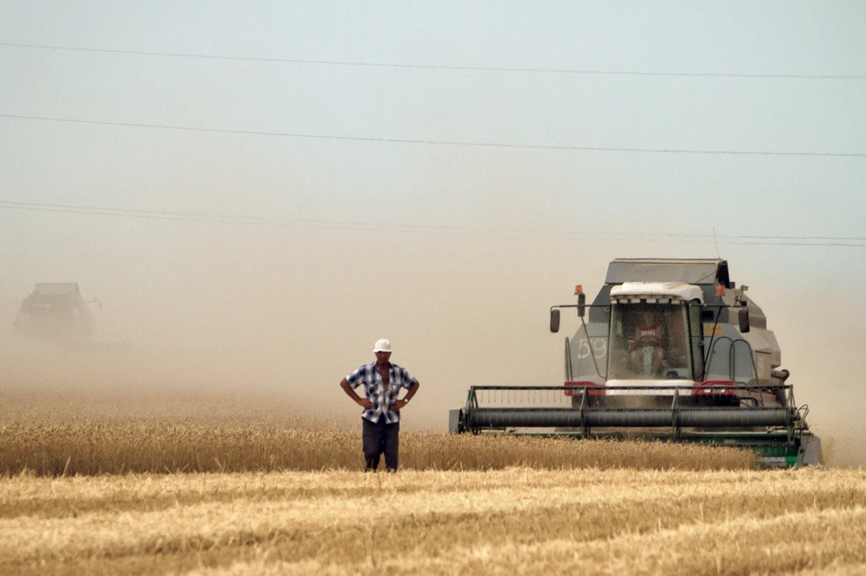 Сельхозпроизводители переживают, что убытки могут перевалить за миллиард.