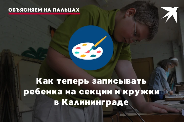 Объясняем на пальцах: Как теперь записывать ребенка на секции и кружки в Калининграде
