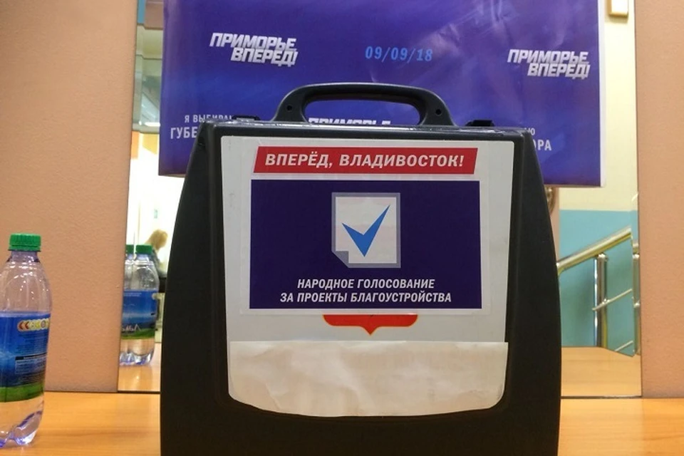 В Приморье начали свою работу избирательные комиссии