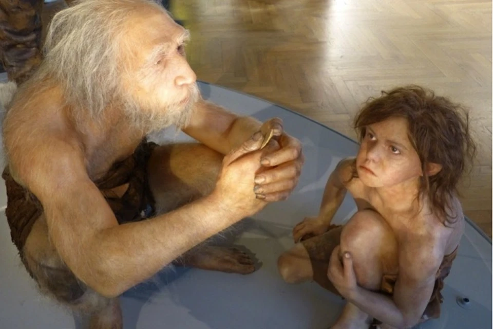 Неандертальцы были не корявее современных людей.