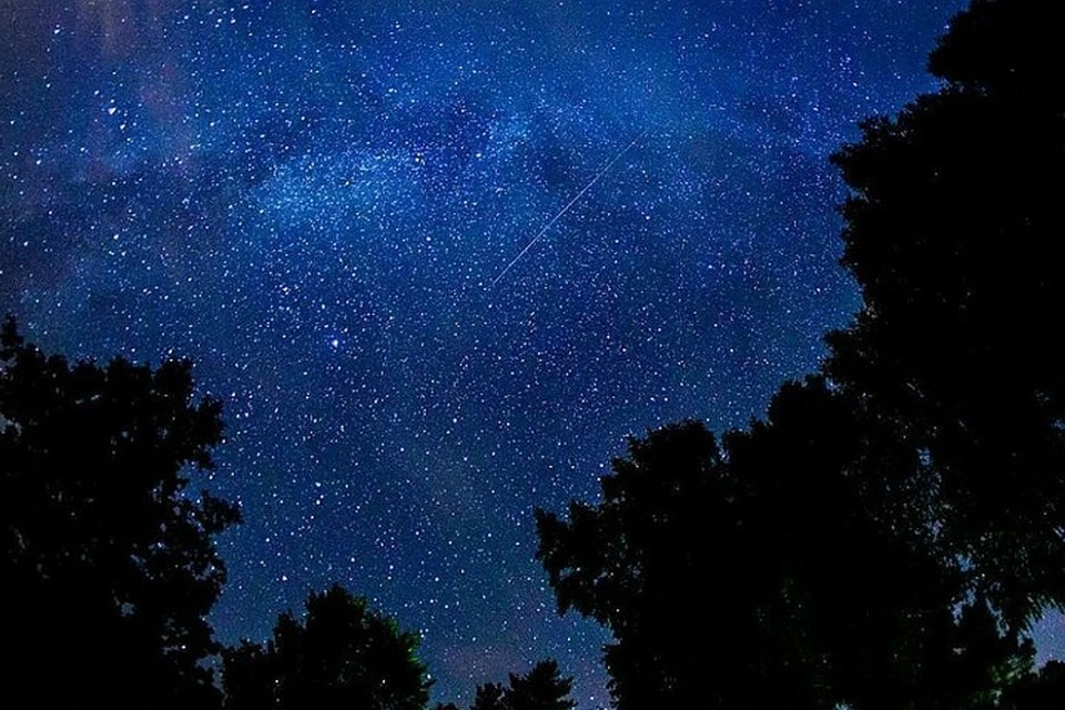 Звездопад можно увидеть в ночь с 8 на 9 октября Фото: Дмитрий БАРМИН