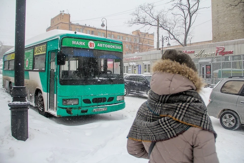 Синоптики считают, что в целом зима в Приморском крае будет не такая жёсткая, как предыдущая