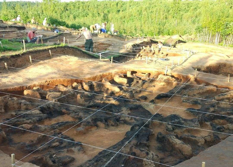 Общая площадь раскопа - 1680 квадратных метров.
