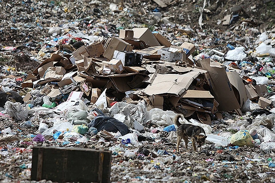 Почему нижегородцам не называют тарифы на вывоз мусора