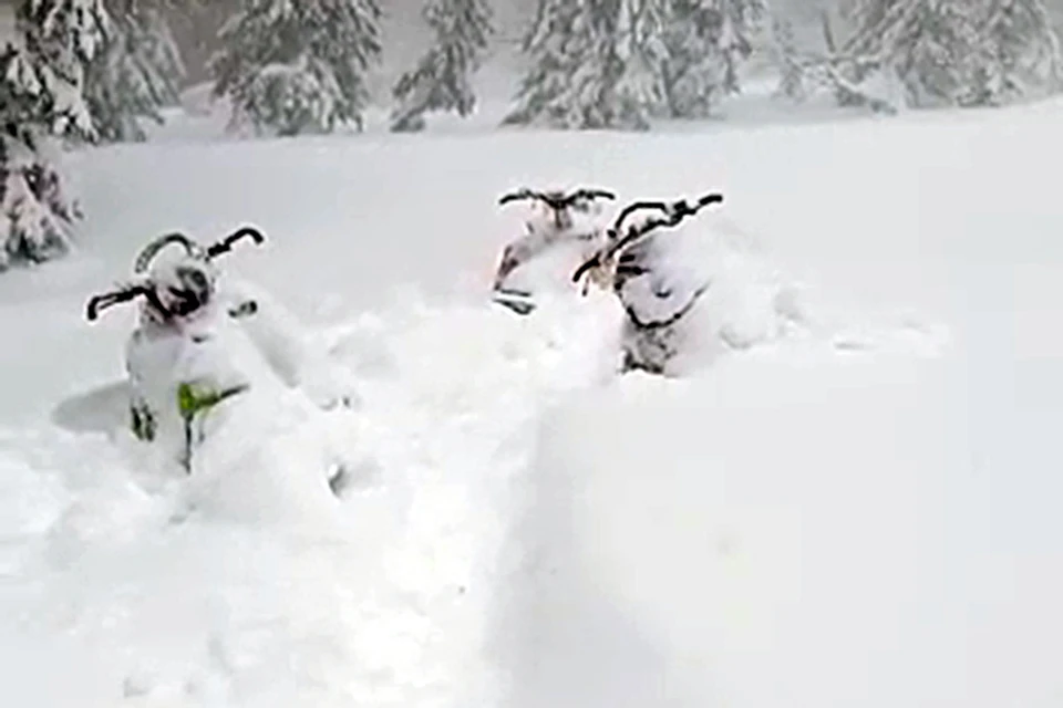 Поисковый отряд днем обнаружил три снегохода, которые принадлежат потерявшимся туристам
