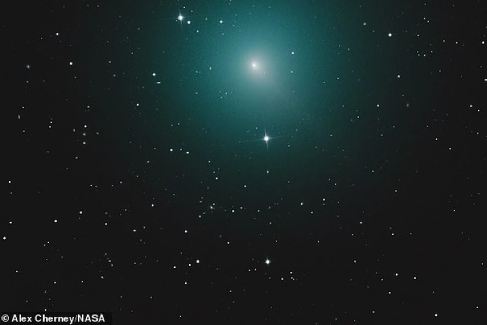 Так "Рождественская комета" выглядит в телескоп NASA.
