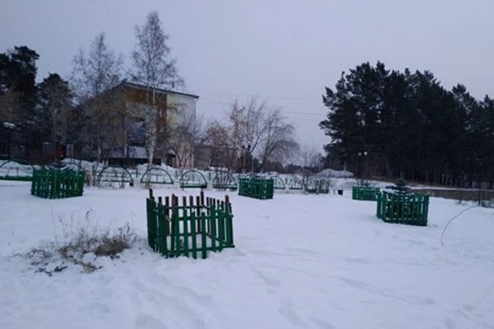 Пьяный вахтовик срубил «Дерево Победы» в Саянске. Фото: пресс-служба администрации Саянска.