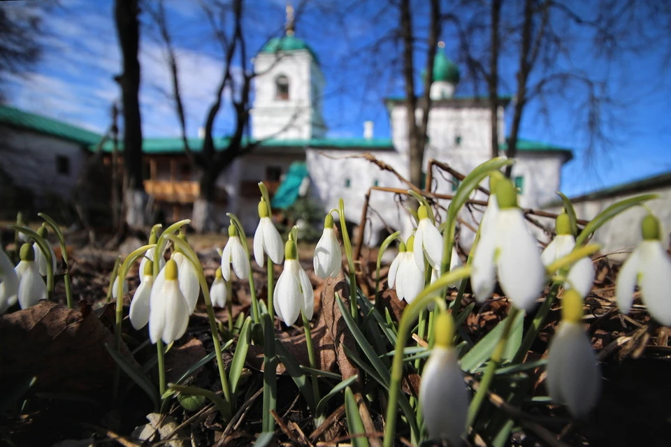 Выставка фотографий Мирожского монастыря начнется в первые дни 2019 года. Фото: Катерина Кочкина.