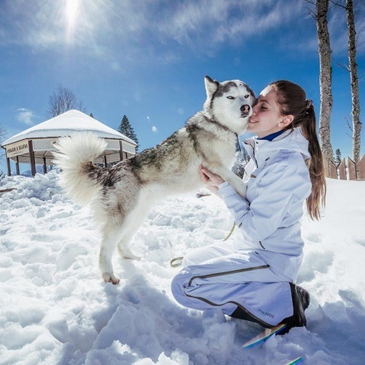 Новый год 2018-2019 на Кубани: Бобслей, сноутюбинг и хаски - гуляй, как в  сказке - KP.RU