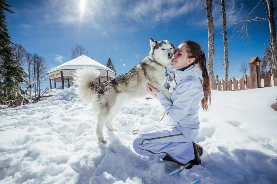 Фото Бобслей, более 75 качественных бесплатных стоковых фото