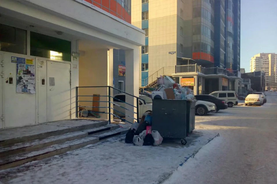 В Центральном районе мусор не вывезли вовремя Фото: Илья ЗАЙЦЕВ
