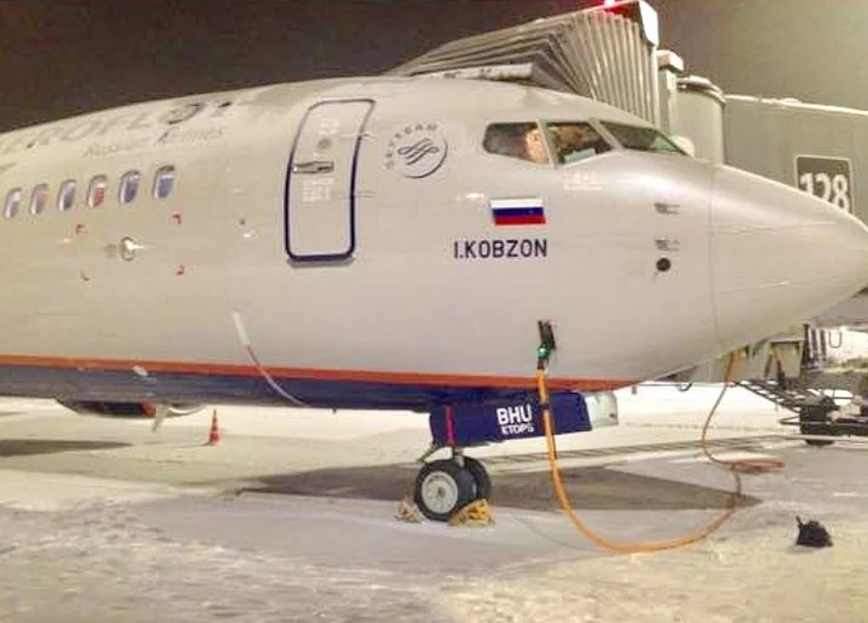 Самолет "Иосиф Кобзон" в аэропорту "Шереметьево" в канун Нового года