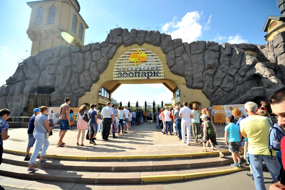 Московскому зоопарку исполняется 155 лет!