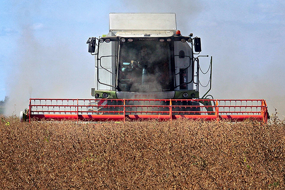 За сезон РФ экспортирует около 50 миллионов тонн зерна
