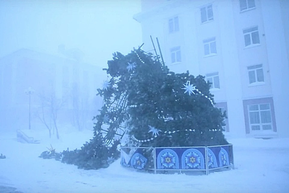 В Кировске, где порывы ветра были почти как в Мурманске, ураган опрокинул елку. Фото: Владимир Полянский
